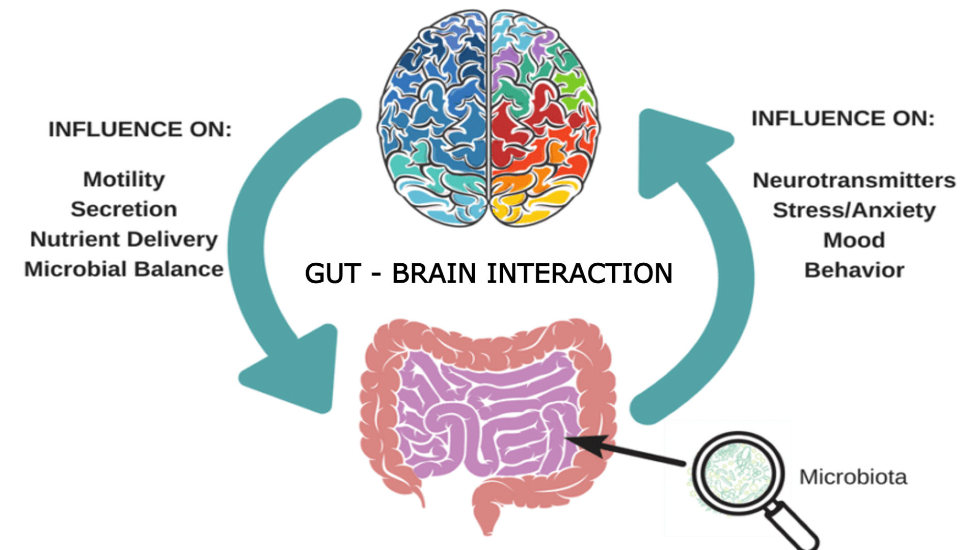 DGBI (Disorder of Gut-Brain Interaction) /Functional digestive problems